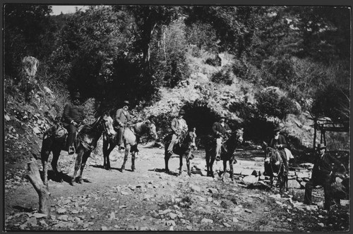 Group of Harvard University and Pasadena officials, riding donkeys in Sierra Madre