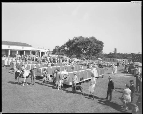 Pet show, Polytechnic Elementary School, 1030 East California, Pasadena. 1935