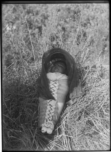 Paiute baby in cradle-board, laying in grass