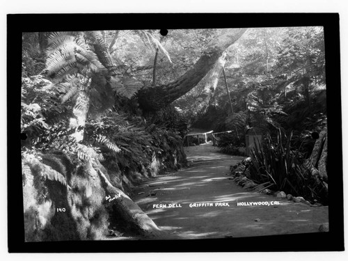 Fern Dell, Griffith Park, Hollywood, Cal