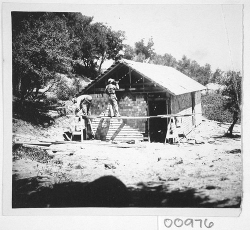 Construction of a wooden shed on Mount Wilson