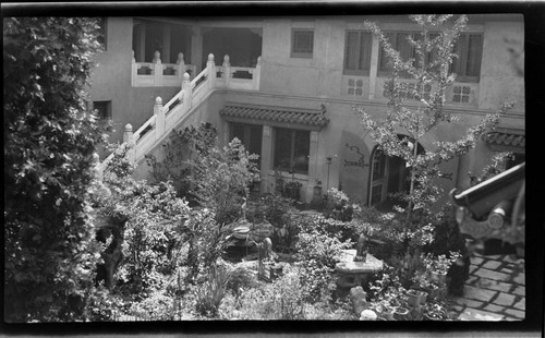 Courtyard garden and trees at Grace Nicholson's Treasure House