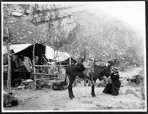 Bass camp on Shinemo Creek, North side