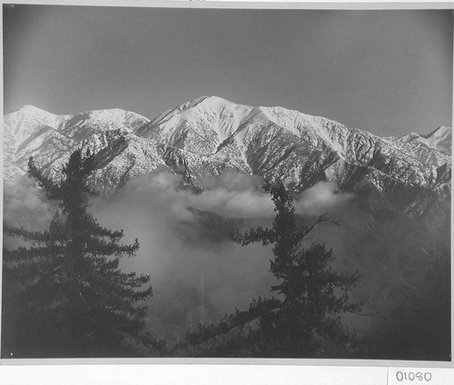 Snow-capped Mount Baldy, as seen from Mount Wilson