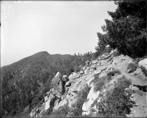 Horse-drawn truck on a mountain road, San Gabriel Mountains