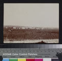 Six days old town of Anadarko. Taken from south edge, from M.E. (South) Mission school