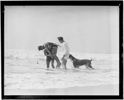 Jack Donovan, lifeguards and dog training on beach, Santa Monica, California