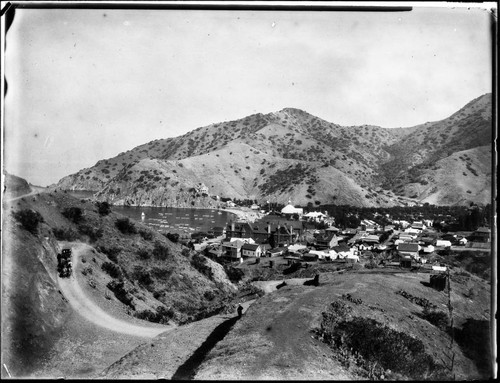 Stagecoach on road, Avalon, Catalina Island