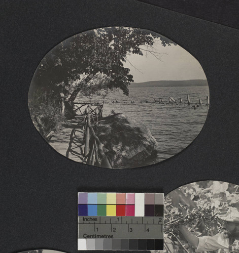 View of Lake Geneva, near Yerkes Observatory, with wooden walkway, trees, rock and wooden pier pilings in the lake