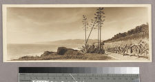 The Palisades and the California Incline, Santa Monica