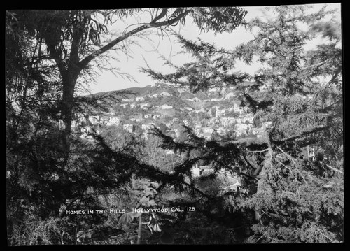 Homes in the hills, Hollywood, Cal