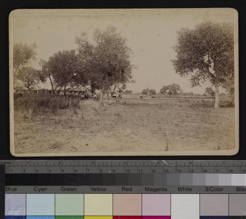 A group of men, possibly Apache, standing in a field near livestock, with train depot in background