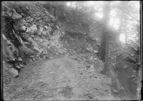 Toll road on Mount Wilson, near the summit