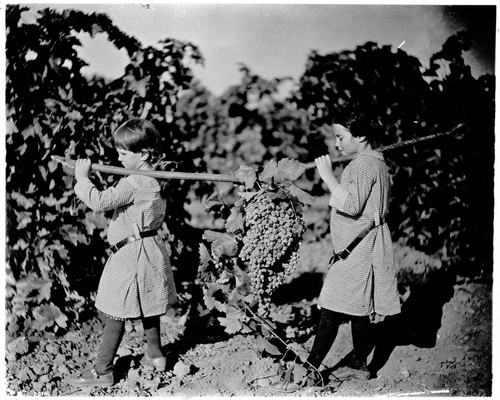 Children with great cluster of grapes