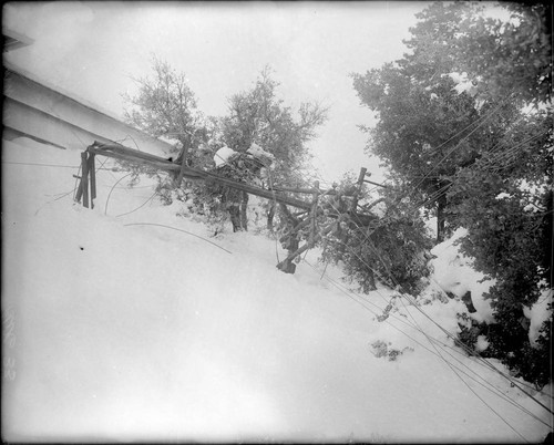 Collapsed power pole and lines in the snow, Mount Wilson