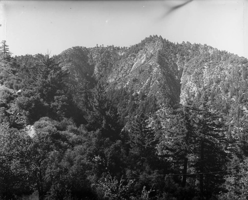 Monastery ridge and Mount Wilson, as seen from the ridge east of the old trail