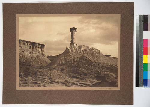 Petrified Forest, Arizona