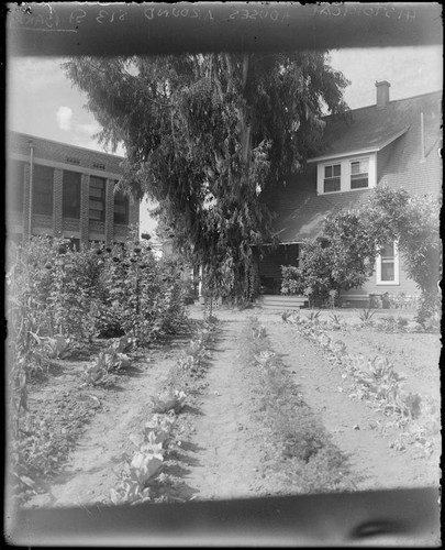 Residential house and garden adjacent to Santa Barbara Street office, Pasadena