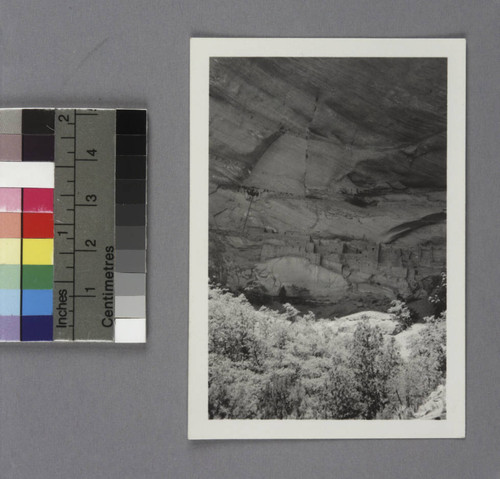 Betatakin cliff dwellings, Navajo National Monument, Arizona