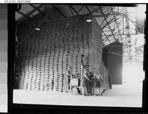 Stores of cotton seed cakes at Cal-Mex Ranch