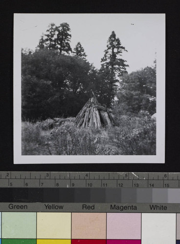 Indian Kish or hut on Palomar Mountain, probably made of split cedar