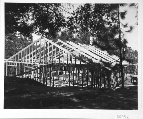 Wooden framing for a new house on Mount Wilson