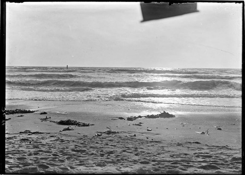Pacific Ocean beach