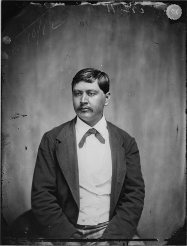 John R. Vann, Cherokee lawyer and teacher