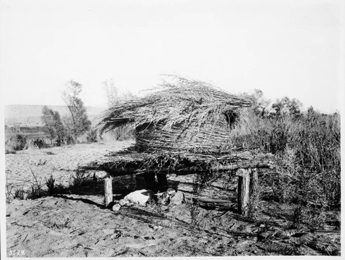 Chemehuevi Indian Granary (Seguin?) for Mesquite Beans