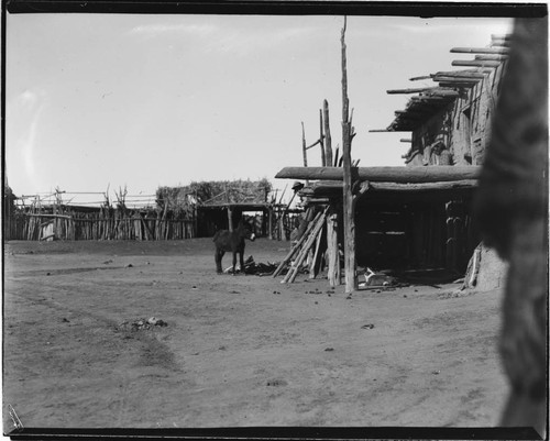 Tesuque, donkey outside dwelling