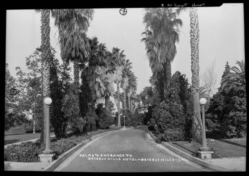 Palms & entrance to Beverly Hills Hotel, Beverly Hills, Cal