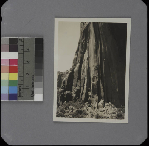 Cliffs near the Betatakin cliff dwellings, Navajo National Monument, Arizona