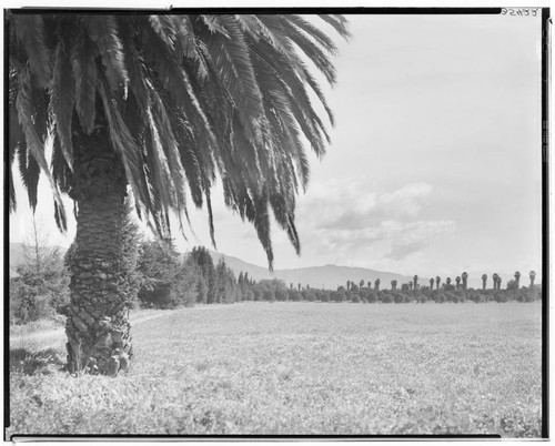 Open field with mountain backdrop, San Marino. 1937