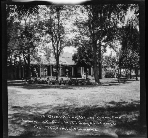 A charming view from the lawn at Gov. H.T. Gage's home, San Antonio Rancho