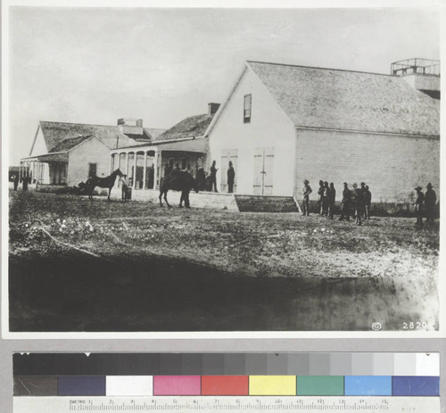 Wilmington Military Headquarters of Army loading a camel at warehouse. 1865