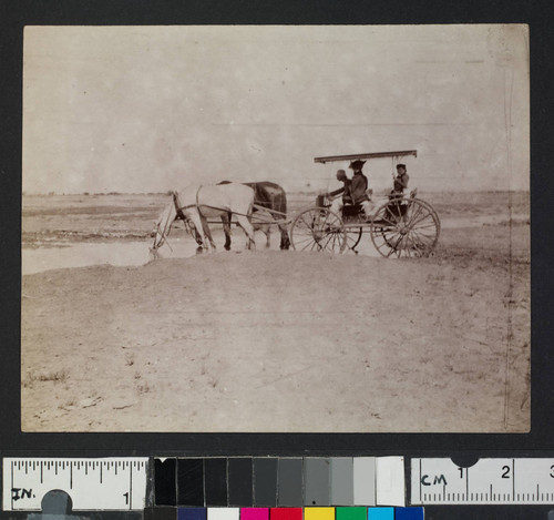 Casa Grande to Florence, 1892. Josie Logan on back seat