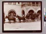 Wiley & Greeley's Tallyho leaving the Green Hotel for the Mountains, Nov. 1894