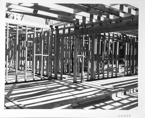 Interior framing of a new house on Mount Wilson