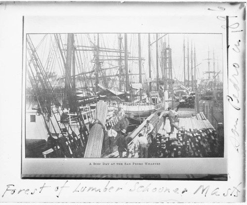 Loading lumber at San Pedro wharf