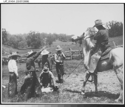 Cattle ranchers working at Tejon Ranch