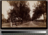 Magnolia Ave., Riverside, Cal