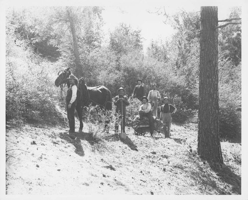 Six men and a horse, Mount Wilson