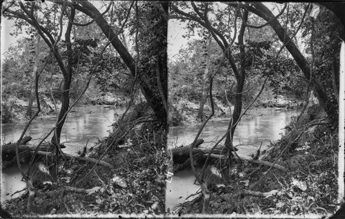 View of river, Seminole Nation, Indian Territory