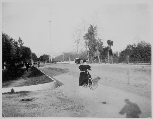 Figueroa Street North from Washington. Mrs. Henry Hazard on wheel [bicycle]. 1900