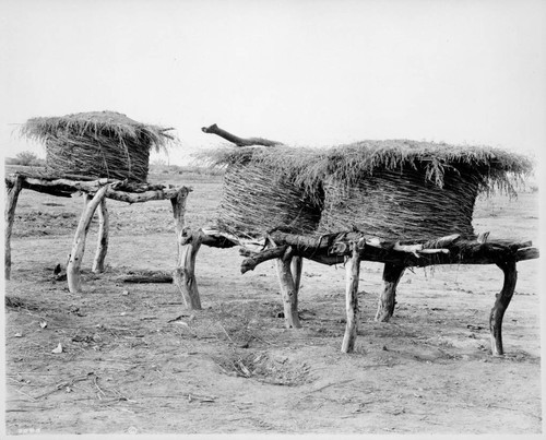 Mesquite granaries at Torres