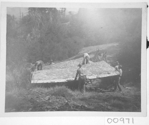 Construction of a wooden shed on Mount Wilson