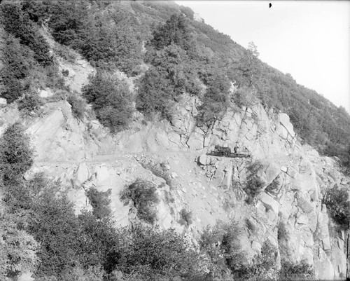 First horse-drawn wagon up the newly widened toll road, Mount Wilson