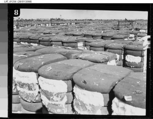 Cotton bales at Cal-Mex Ranch