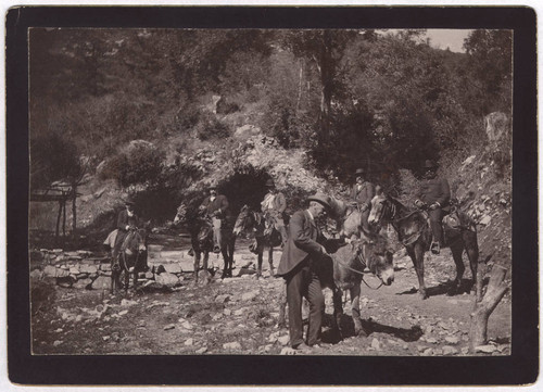 Group of Harvard university and Pasadena officials, riding donkeys in Sierra Madre