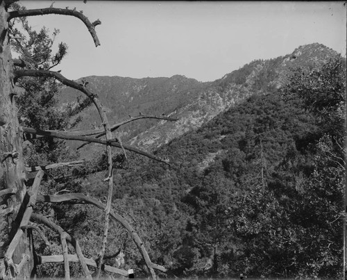 Mount Wilson, as seen from Buzzard's Roost